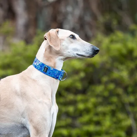 Obroża półzaciskowa ozdobna dla psa Bali Ocean 5 cm – ekskluzywna, niebieska obroża żakardowa z połyskiem